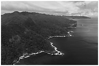 Aerial view of Tuitula north coast. National Park of American Samoa ( black and white)