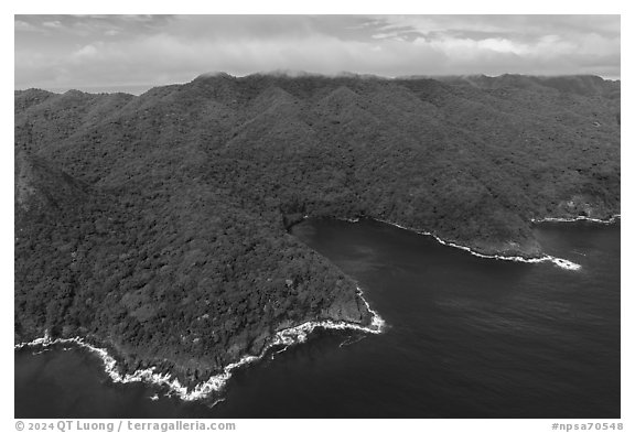 Aerial view of Tafeu Cove and Mt Alava, Tuitula. National Park of American Samoa (black and white)