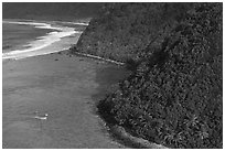 Aerial view of Ofu south shore. National Park of American Samoa ( black and white)