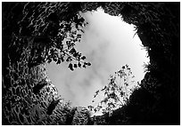 Sky through the top of old sugar mill. Virgin Islands National Park, US Virgin Islands. (black and white)