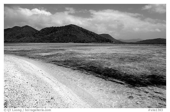 Beach, reef, and hills, Leinster Bay, morning. Virgin Islands National Park (black and white)