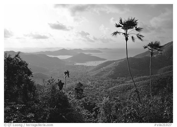 Coral Harbor seen from Centerline Road, morning. Virgin Islands National Park (black and white)