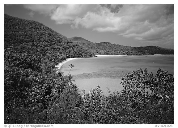 Hawksnest Bay. Virgin Islands National Park (black and white)