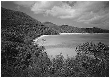 Hawksnest Bay. Virgin Islands National Park, US Virgin Islands. (black and white)