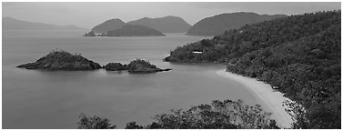 Tropical coast. Virgin Islands National Park (Panoramic black and white)