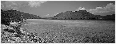 Bay and beach with turquoise waters. Virgin Islands National Park (Panoramic black and white)