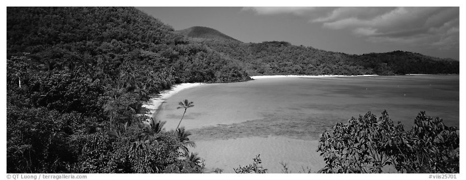 Tropical island scenery. Virgin Islands National Park (black and white)