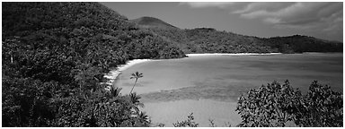 Tropical island scenery. Virgin Islands National Park (Panoramic black and white)