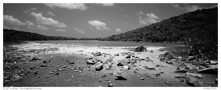 Pond with quicksand. Virgin Islands National Park (black and white)