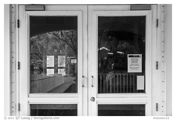 Palm trees, Visitor Center window reflexion. Virgin Islands National Park (black and white)