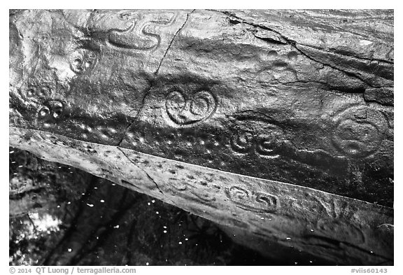 Reef Bay Trail petroglyphs. Virgin Islands National Park (black and white)
