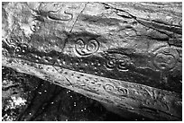 Reef Bay Trail petroglyphs. Virgin Islands National Park ( black and white)