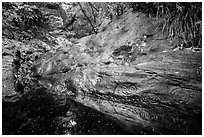 Reef Bay Trail petroglyphs and rock wall. Virgin Islands National Park ( black and white)