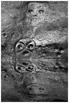 Petroglyph and reflections. Virgin Islands National Park ( black and white)