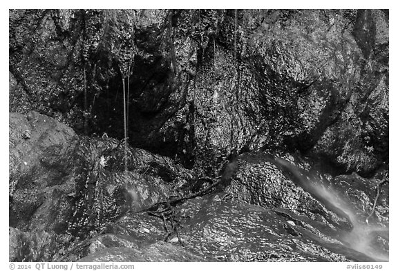 Water drips on rocks, Reef Bay. Virgin Islands National Park (black and white)