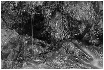 Water drips on rocks, Reef Bay. Virgin Islands National Park ( black and white)