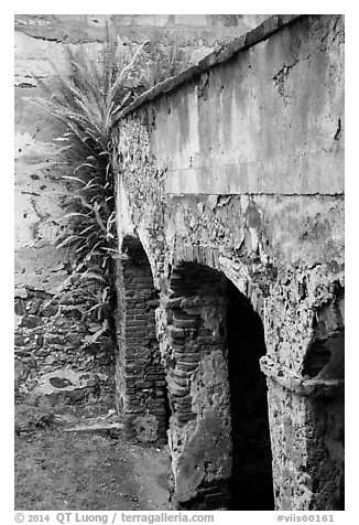 Wall and arch, Reef Bay sugar factory. Virgin Islands National Park (black and white)