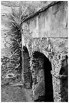 Wall and arch, Reef Bay sugar factory. Virgin Islands National Park ( black and white)