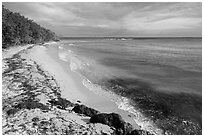 Beach and Genti Bay. Virgin Islands National Park ( black and white)