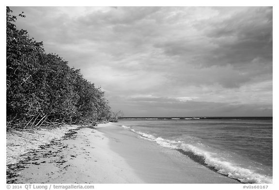 Reef Bay beach. Virgin Islands National Park (black and white)