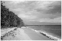 Reef Bay beach. Virgin Islands National Park ( black and white)