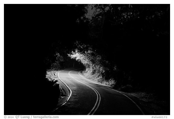 Centerline road at night. Virgin Islands National Park (black and white)
