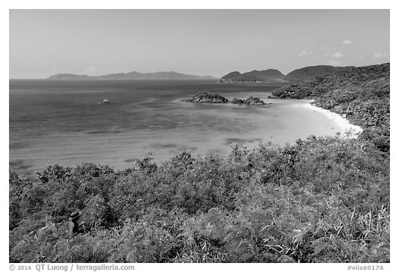 Visitor looking, Trunk Bay. Virgin Islands National Park (black and white)
