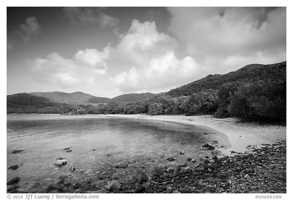 Little Lameshur beach. Virgin Islands National Park (black and white)