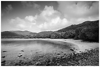 Little Lameshur beach. Virgin Islands National Park ( black and white)