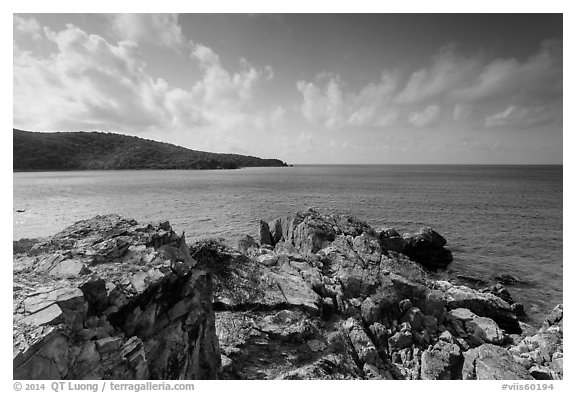 Rocky headlead, Yawzi Point. Virgin Islands National Park (black and white)