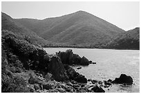 Jagged shoreline and green hills, Great Lameshur Bay. Virgin Islands National Park ( black and white)