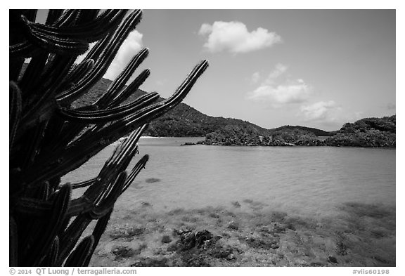 Cactus and Trunk Cay, Trunk Bay. Virgin Islands National Park (black and white)