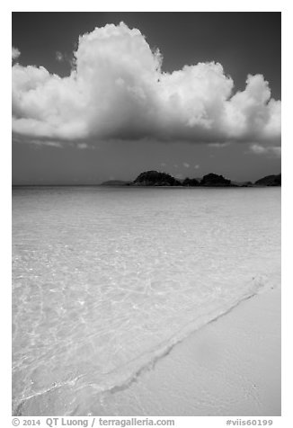 Sand, urquoise waters, and Trunk Cay, Trunk Bay. Virgin Islands National Park (black and white)