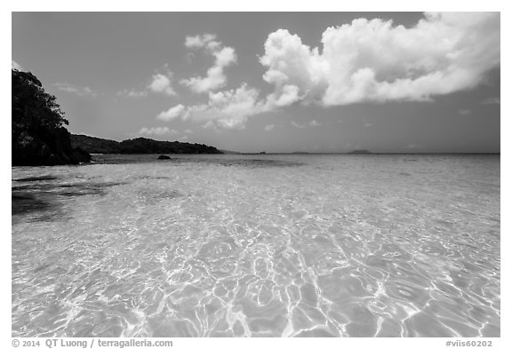 Turquoise clear waters, Trunk Bay Beach. Virgin Islands National Park (black and white)