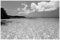 Turquoise clear waters, Trunk Bay Beach. Virgin Islands National Park ( black and white)
