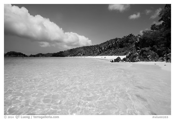 Trunk Bay Beach. Virgin Islands National Park (black and white)