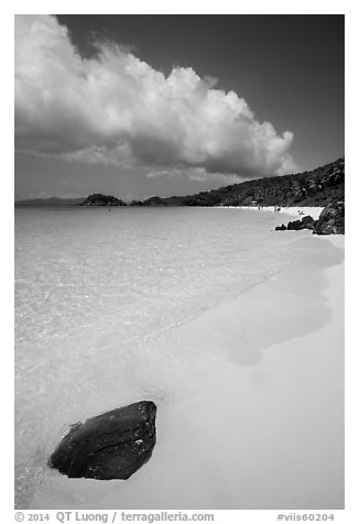 Tropical beach with white sand and turquoise waters, Trunk Bay. Virgin Islands National Park (black and white)