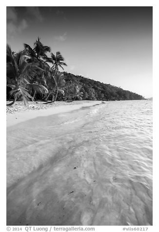 Tropical beach in the evening, Salomon Bay. Virgin Islands National Park (black and white)