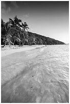 Tropical beach in the evening, Salomon Bay. Virgin Islands National Park ( black and white)