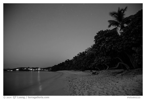 Honeymoon beach at night. Virgin Islands National Park (black and white)