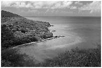 Forested slopes and reef, Hassel Island. Virgin Islands National Park ( black and white)