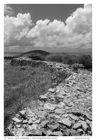 Shipleys Battery and island highest point, Hassel Island. Virgin Islands National Park (black and white)