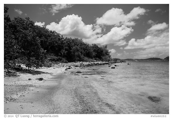 Shoreline and reef, Hassel Island. Virgin Islands National Park (black and white)