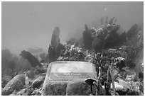 Soft coral, Trunk Bay underwater trail interpretive sign. Virgin Islands National Park ( black and white)