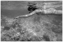 Woman snorkeling, Trunk Bay. Virgin Islands National Park ( black and white)