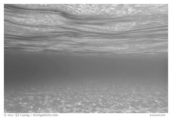 Underwater picture of sand and water. Virgin Islands National Park (black and white)