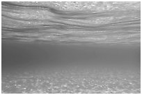 Underwater picture of sand and water. Virgin Islands National Park ( black and white)