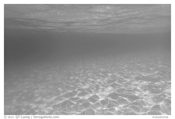 Sand and tropical water reflected under the surface. Virgin Islands National Park (black and white)