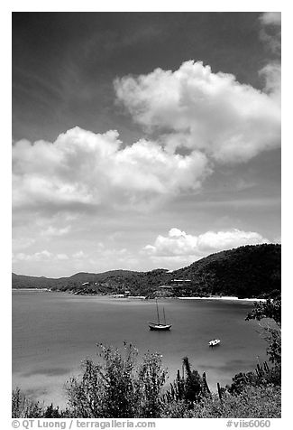 Yachts anchored in Hurricane Hole Bay. Virgin Islands National Park (black and white)