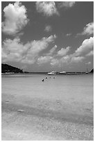 Tropical beach and yachts. Virgin Islands National Park ( black and white)